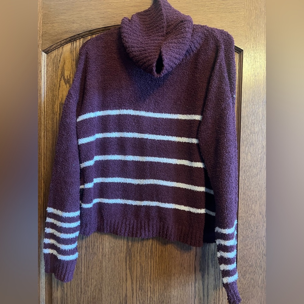 Moral Fiber Plum and White Striped Turtleneck Sweater